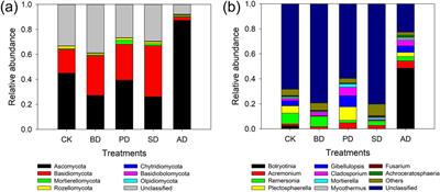 Regulating facility soil microbial community and reducing cadmium enrichment in lettuce by reductive soil disinfestation